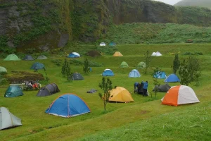 Read more about the article Festival Camping Essentials: A Veteran’s Guide to Stress-Free Packing