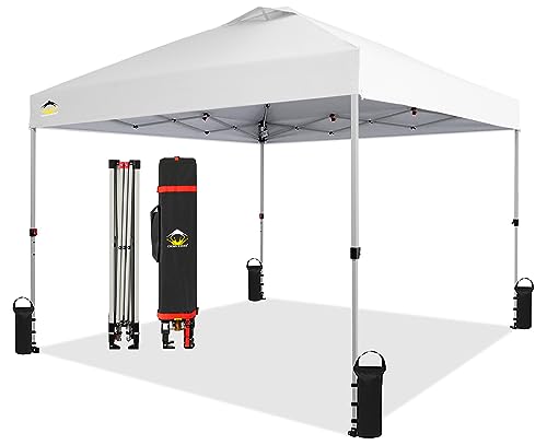 Read more about the article Best Family Tent for 10 Person: Spacious, Durable & Easy Setup