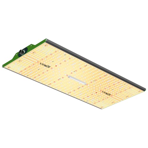 Best Grow Light for 2X4 Grow Tent