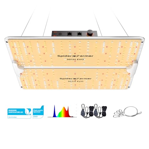Best Grow Light for 3X3 Grow Tent