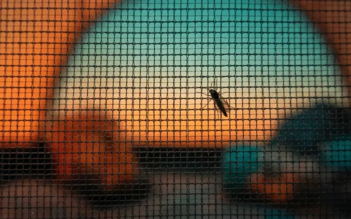 No-see-um tent mesh close-up showing tight 20x20 weave blocking tiny gnats and midges